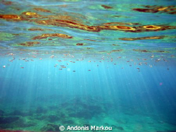 Breathtaking sun rays filtering through. Taken in Green B... by Andonis Markou 